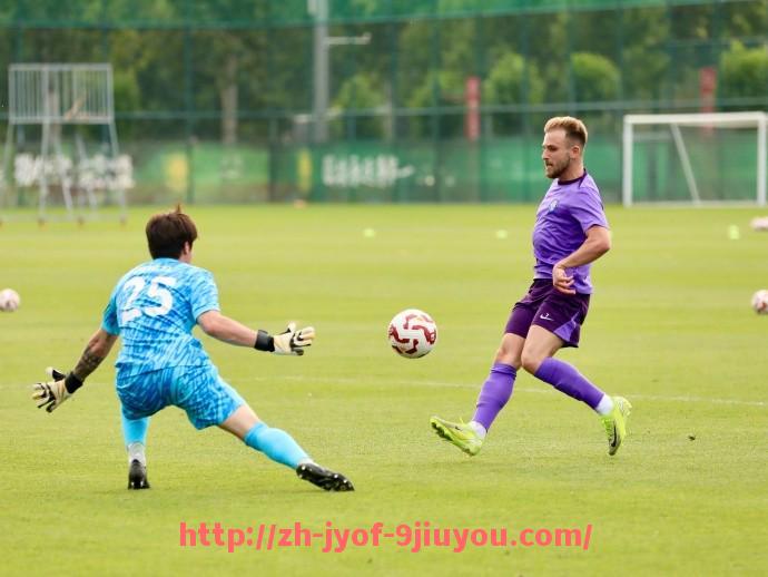 jiuyou九游娱乐-英超球队狮子徽标象征：狮子与英超的联系