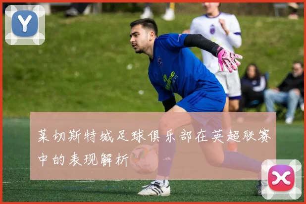 莱切斯特城足球俱乐部在英超联赛中的表现解析