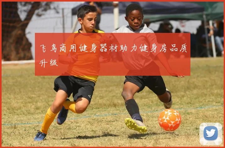 飞鸟商用健身器材助力健身房品质升级