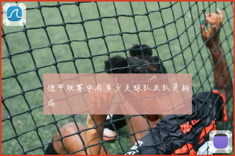 德甲联赛中有多少支球队及队员构成